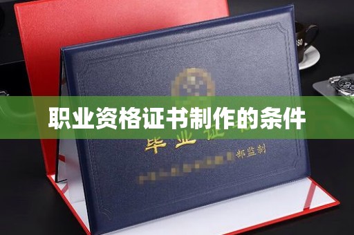 龙文职业资格证书制作的条件
